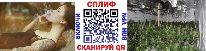 Каннабис ГИДРОПОН  даркнет какой сайт  Петропавловск-Камчатский 